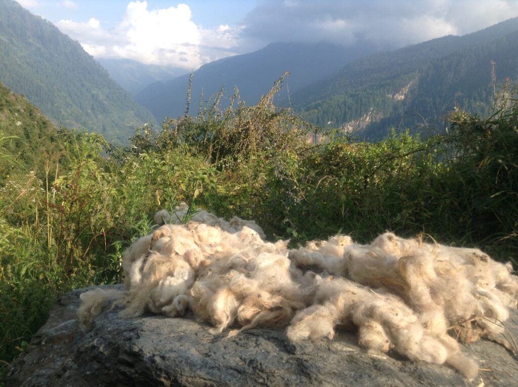Himarayan wool