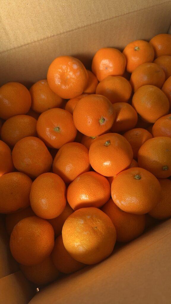 展示会のスタートとノスタルジック